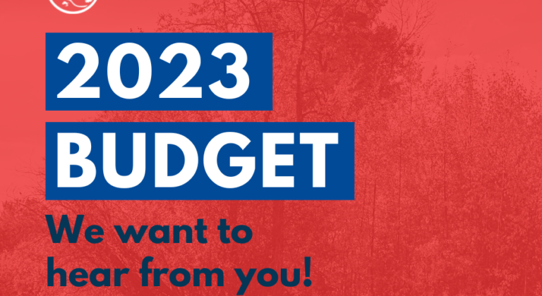 2021 budget Facebook Post 4